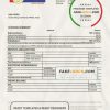 Nepal Rastriya Banijya bank statement template in Word and PDF format
