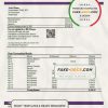 Netherlands SNS bank statement template in Word and PDF format