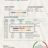 Netherlands Triodos Bank statement easy to fill template in Word and PDF format