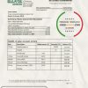 Nicaragua Banco Lafise Bancentro bank statement template, Excel and PDF format (.xls and .pdf)