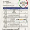 Nigeria Access bank statement template, Word and PDF format (.doc and .pdf)