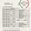 North Macedonia Stater bank statement template, Word and PDF format (.doc and .pdf)