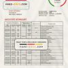 Norway Bank Norwegian AS bank statement easy to fill template in Word and PDF format
