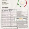 Pakistan Meezan bank statement template in Word and PDF format