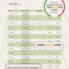 Palau Bank of Guam bank statement template in Word and PDF format