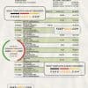 Palau Bank of Guam Bank statement Excel and PDF template