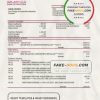 Palestine Bank of Palestine bank statement template in Word and PDF format