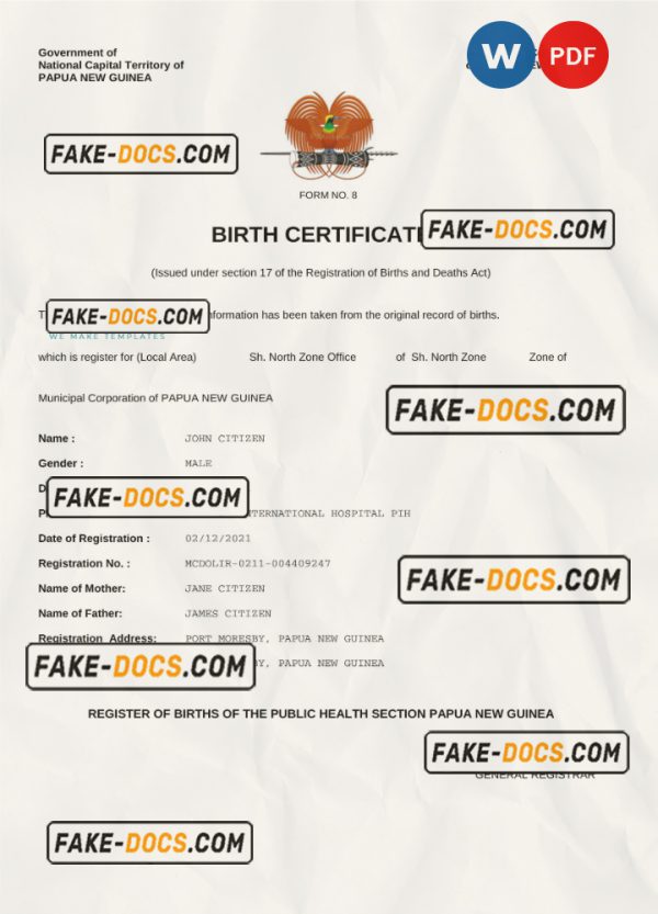 Guinea vital record birth certificate Word and PDF template, completely editable scan
