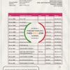 Paraguay Vision Banco bank statement template in Word and PDF format