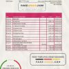 Paraguay Vision Banco bank statement easy to fill template in Excel and PDF format