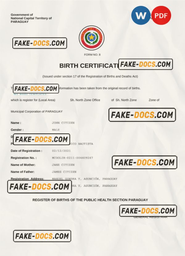 Paraguay birth certificate Word and PDF template, completely editable scan