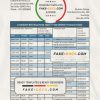Peru Citibank bank statement easy to fill template in Word and PDF format