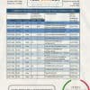Peru Citibank bank statement easy to fill template in .xls and .pdf file format