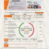 Philippines Rizal Commercial Banking Corporation (RCBC) credit card statement template in .xls and .pdf file format