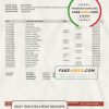 Philippines Bank of the Philippine Islands bank statement template in Word and PDF format