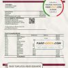 Poland Alior bank statement template in Word and PDF format