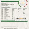 Poland Banca Intesa bank statement template in Word and PDF format