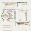 Poland Banca Intesa bank statement Excel and PDF template