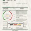 Portugal Banco Carregosa bank statement template in Excel and PDF format, .xls and .pdf format