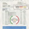 Qatar Ahlibank statement easy to fill template in Excel and PDF format