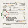 Qatar Doha bank statement, Excel and PDF template