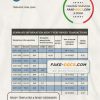 Qatar Qatar Islamic Bank statement template in Word and PDF format