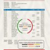 Romania Banca Transilvania bank statement easy to fill template in .xls and .pdf file format