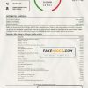 Romania Raiffeisen bank statement template in Word and PDF format (in Romanian language)