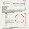 Romania Raiffeisen bank statement template in Excel and PDF format (in Romanian language)