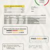 Russia Tinkoff bank proof of address statement (English version) template in Word and PDF format