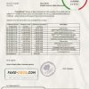 Russia Tinkoff bank proof of address statement template in Excel and PDF format (.xls and .pdf)