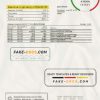 Russia Tinkoff bank statement easy to fill template in Word and PDF format (in Russian)