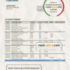 Saint Lucia Loyal Bank bank proof of address statement template in Word and PDF format