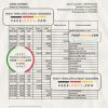 Saint Vincent and The Grenadines First Caribbean International bank statement, Excel and PDF template, version 2