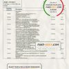San Marino Banca di San Marino bank statement template in Word and PDF format