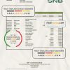 Saudi Arabia SNB bank statement, Excel and PDF template