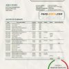 Saudi Arabia Banque Saudi Fransi bank statement template in Word and PDF format, good for address prove