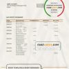 Serbia Banca Intesa bank statement template in Word and PDF format