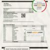 Serbia Raiffeisen Bank proof of address statement template in Word and PDF format