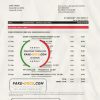 Serbia Societe Generale bank statement easy to fill template in .xls and .pdf format
