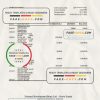Sierra Leone National Development bank statement, Excel and PDF template