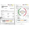 Singapore DBS bank proof of address statement template in Word and PDF format, 4 pages