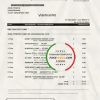 Singapore DBS bank proof of address statement template in .xls and .pdf format