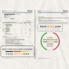 Singapore DBS Bank statement template in Excel and PDF format (2 pages)