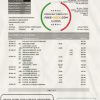 Singapore HSBC Bank statement template in .xls and .pdf file format