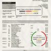 Singapore HSBC bank statement template in Word and PDF format