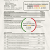 Slovakia Raiffeisen Bank statement easy to fill template in Excel and PDF format