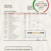 Slovenia Factor Banka bank statement template in Word and PDF format