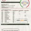 South Africa ABSA bank statement template in Word and PDF format