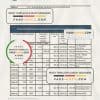 South Korea Shinhan bank statement, Excel and PDF template